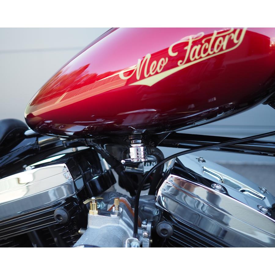 Harley Davidson（ハーレー・ダビッドソン） ゴラン クリックスリック