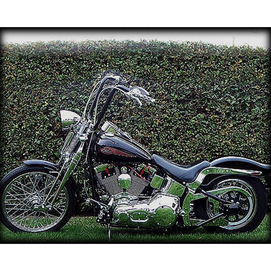 Harley Davidson（ハーレー・ダビッドソン） スプリンガー用16in