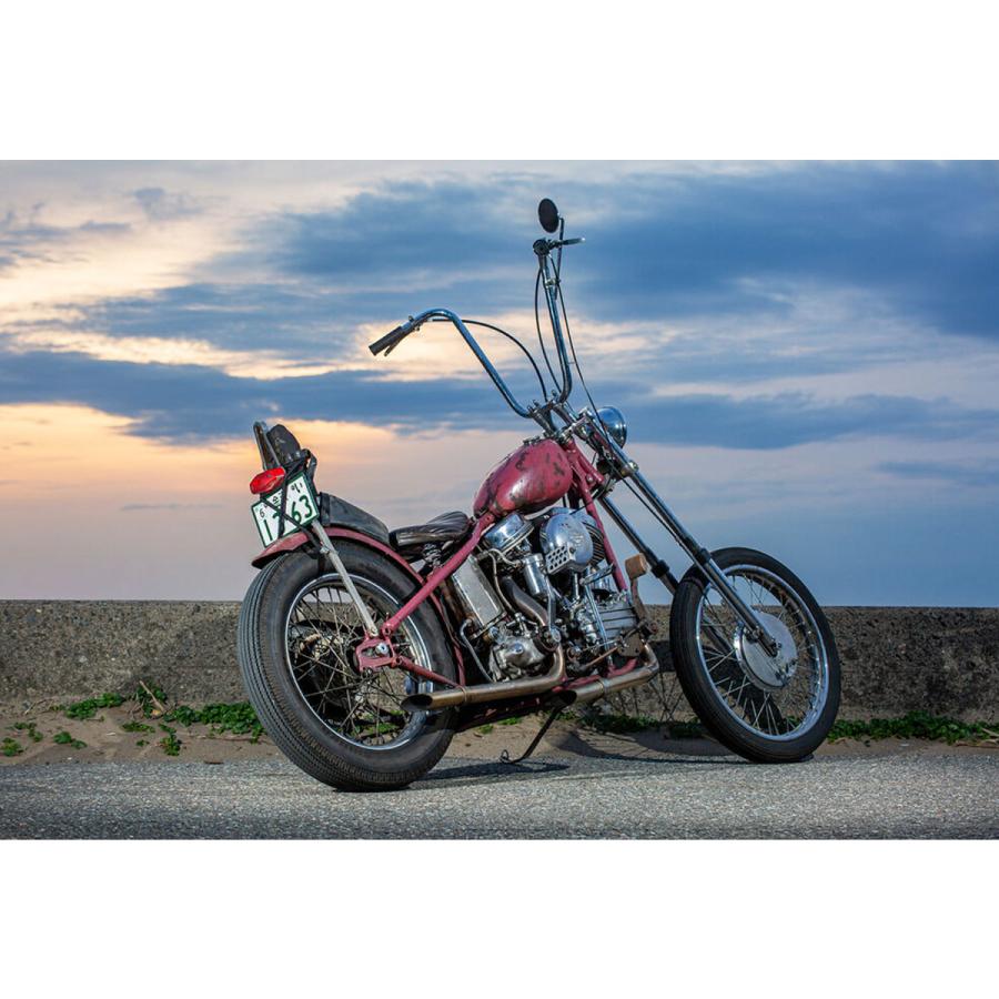 梅05ページ Harley Davidson DicE Magazine ISSUE ＃93
