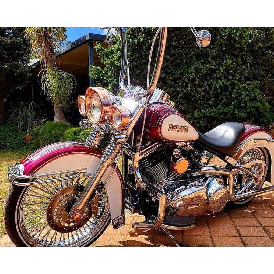 Harley Davidson - トリビュートレンズセットスモーク クロームベゼル ゼムクリップはたご屋