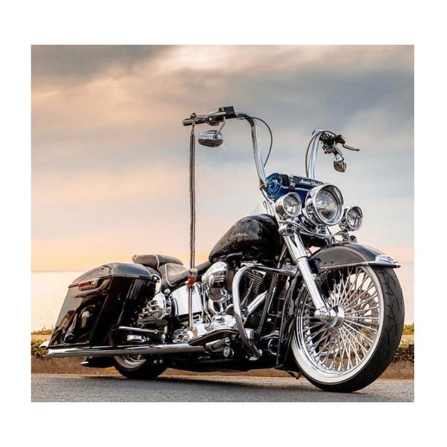 Harley Davidson - トリビュートレンズセットスモーク クロームベゼル ゼムクリップはたご屋