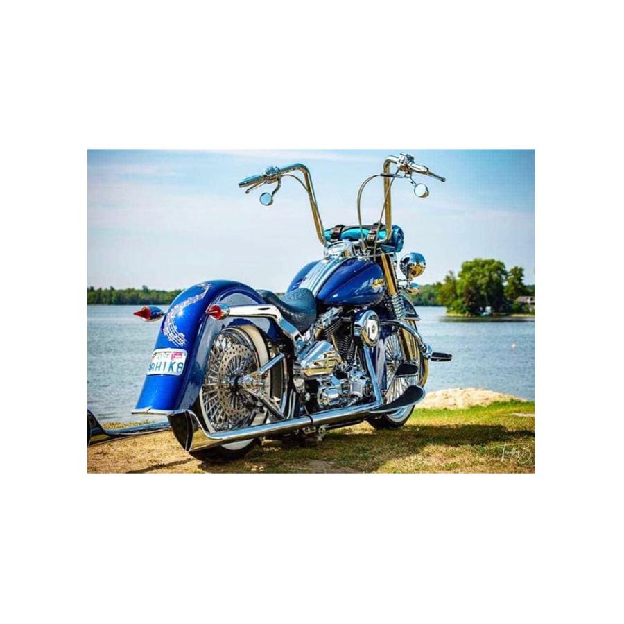 Harley Davidson - スーパーソニックレンズセットクリアー ブラックベゼル ゼムクリップはたご屋