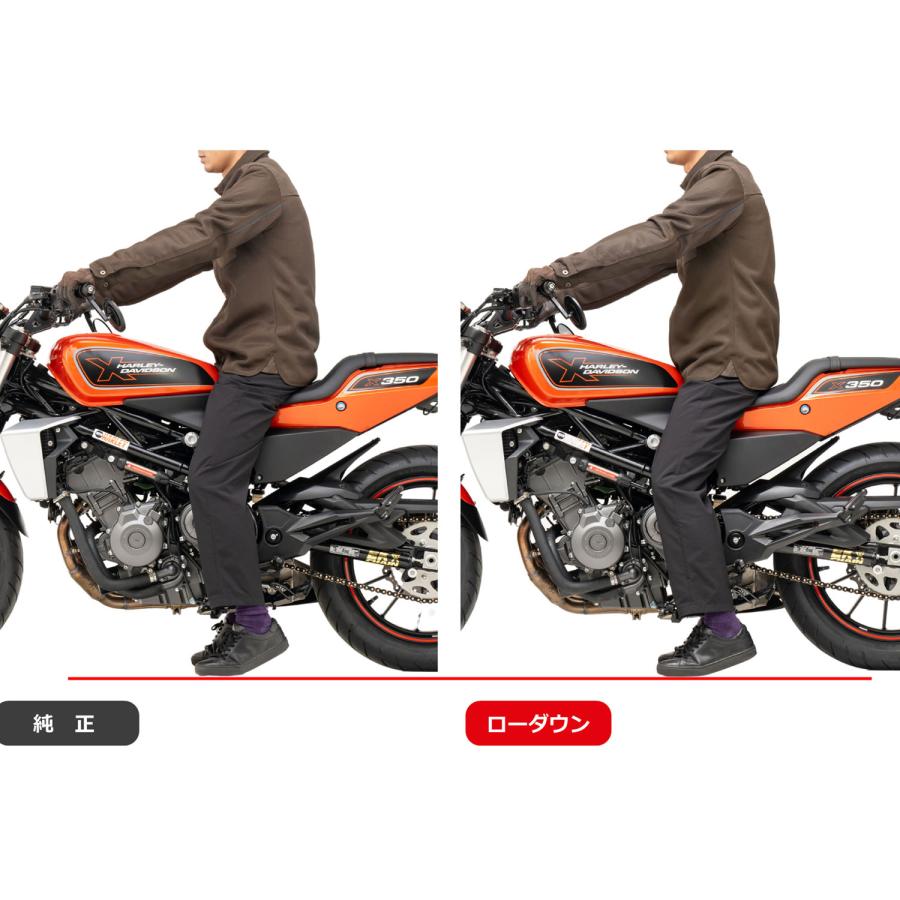 Harley Davidson（ハーレー・ダビッドソン） EFFEX ローダウン