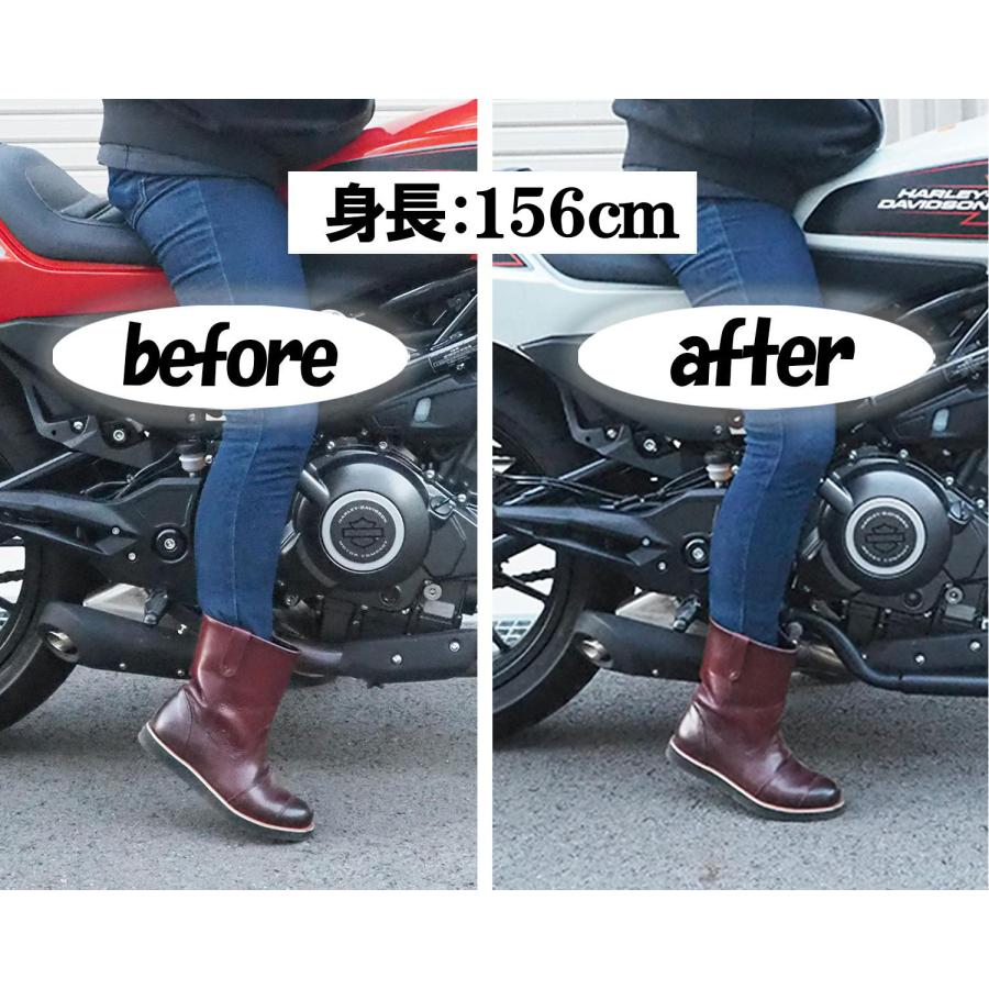 Harley Davidson（ハーレー・ダビッドソン） X350用 ローダウン