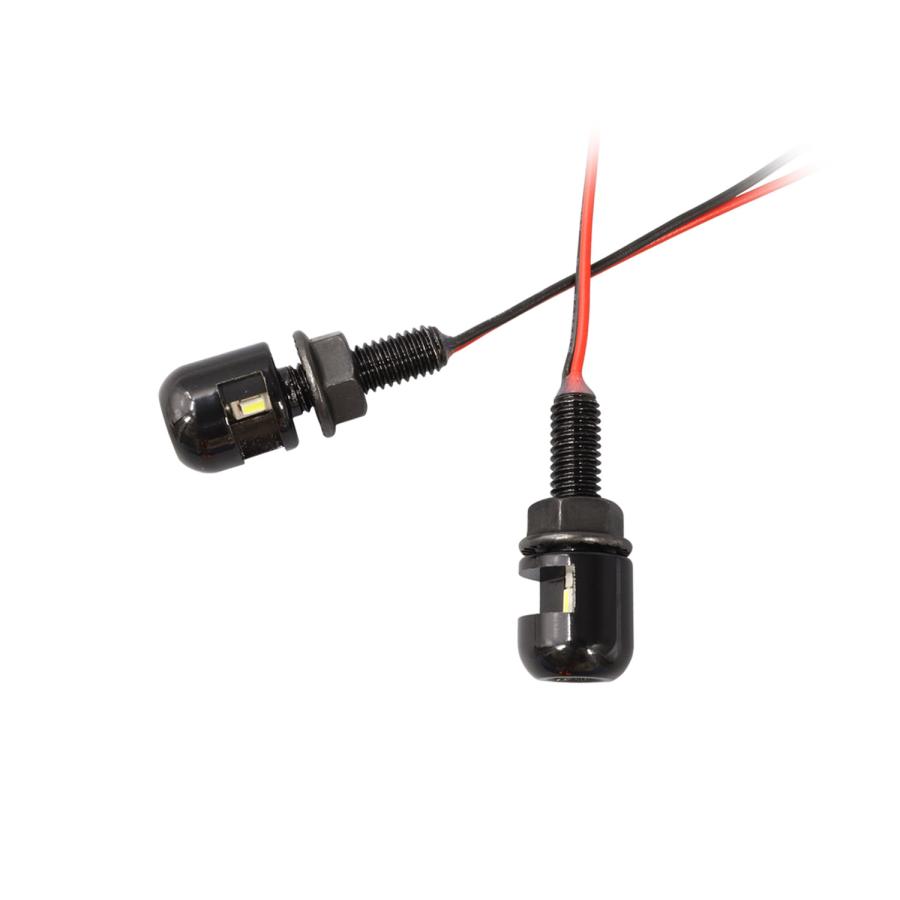 ＬＥＤナンバーライトスクリューキット　ブラック | Harley Davidson