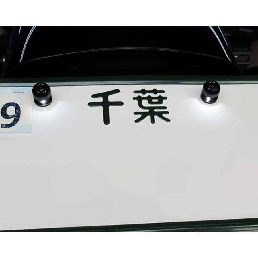 ＬＥＤナンバーライトスクリューキット　ブラック | Harley Davidson | 03