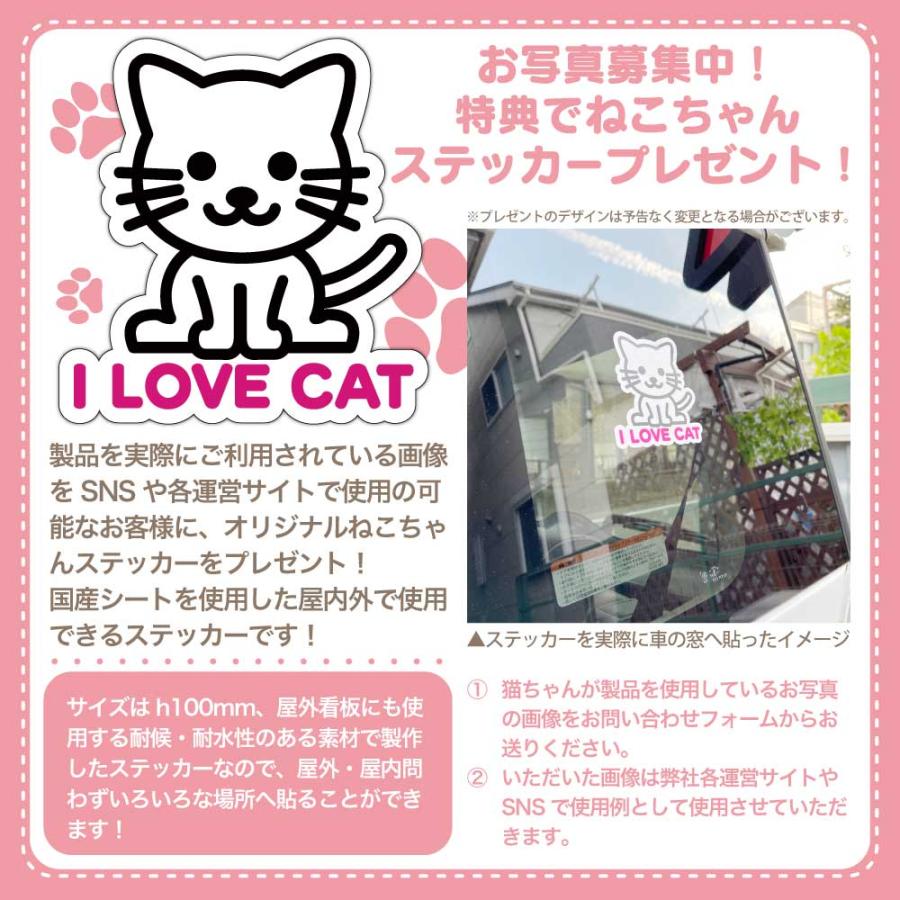 【名入れ看板付き キャットハウス】猫家具 水洗いできる猫のお城 建物型猫用ハウス 爪とぎ付き キャットファニチャーシリーズ ビス不要 簡単組立 室内用 |  | 01