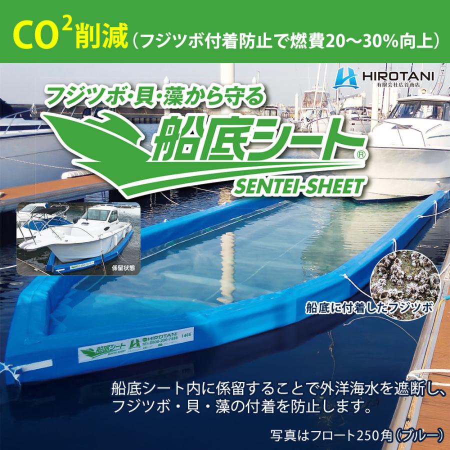 船底シート Mサイズ ブルー 広谷商店 HIROTANI フジツボ 貝 藻