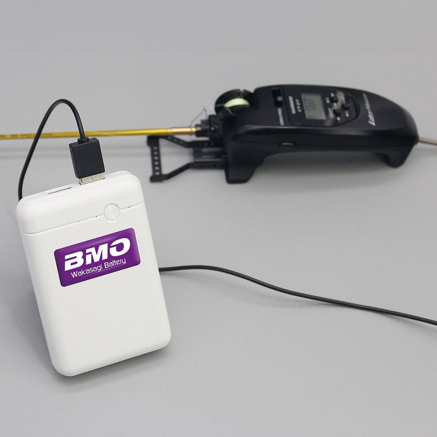 BMO JAPAN（ビーエムオージャパン） BMO(ビーエムオー) ワカサギ電動