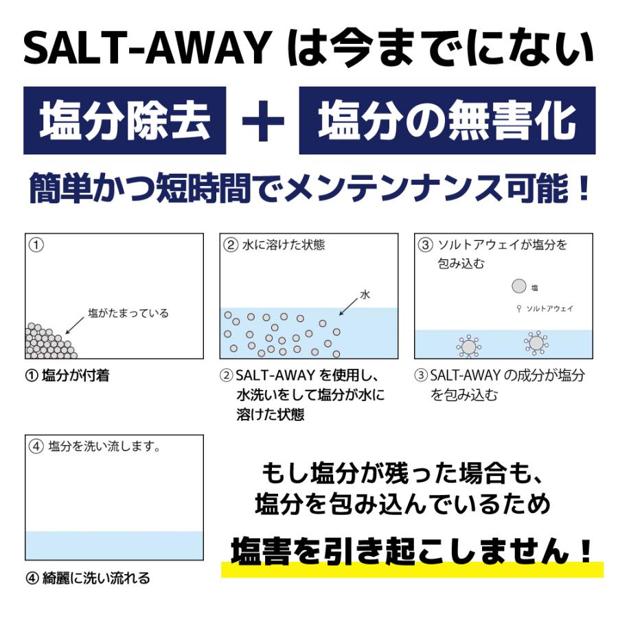 SALT-AWAY（ソルトアウェイ） 原液 3784ml 塩害腐食防止剤 錆防止 錆び