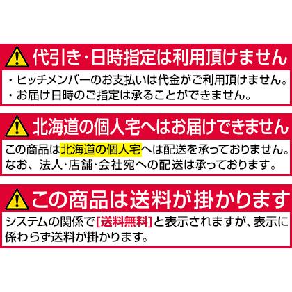 ヒッチメンバー サファリ スチール G-227 サントレックス SUNTREXの画像