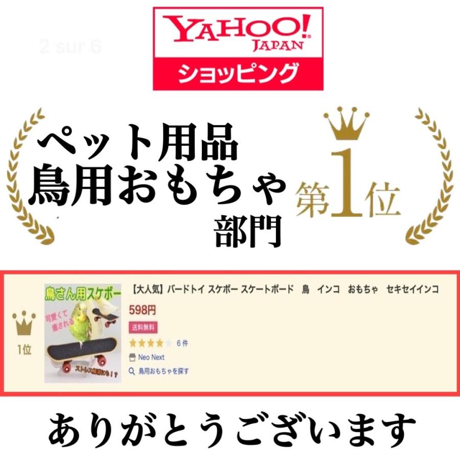 大人気】バードトイ スケボー スケートボード 鳥 インコ