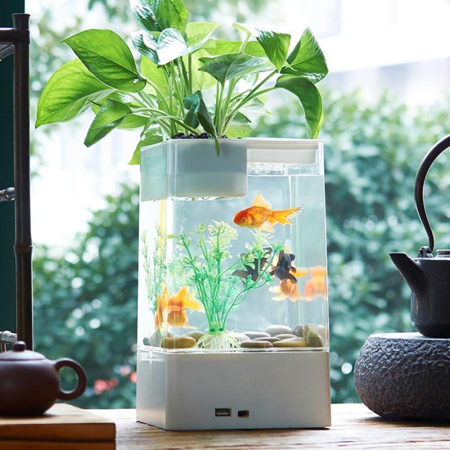 【初期/レア】 ミニ金魚鉢事務机透明バケツ水族館セルフクリーニング無料水変更植物水槽ベタハウスオーナメント Black 15x15x26cm 【A1938097633】(10920円)