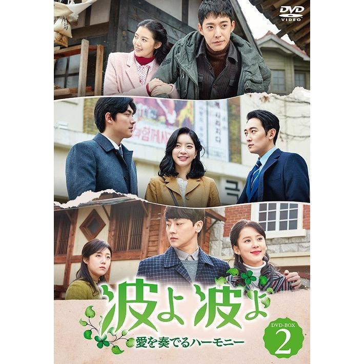 【送料無料】[DVD]/TVドラマ/波よ 波よ〜愛を奏でるハーモニー〜 DVD-BOX 2