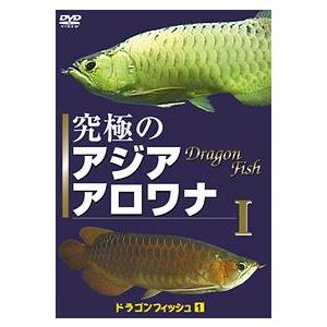 【送料無料】[DVD]/趣味教養/ドラゴン フィッシュ (1) 究極の アジア アロワナ I 癒やし系 DVDシリーズ｜neowing