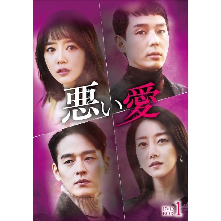 【送料無料】[DVD]/TVドラマ/悪い愛 DVD-BOX 1