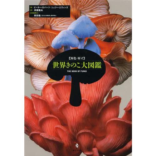 きのこ 送料無料】[本/雑誌]/〈原色・原寸〉世界きのこ大図鑑 / 原タイトル