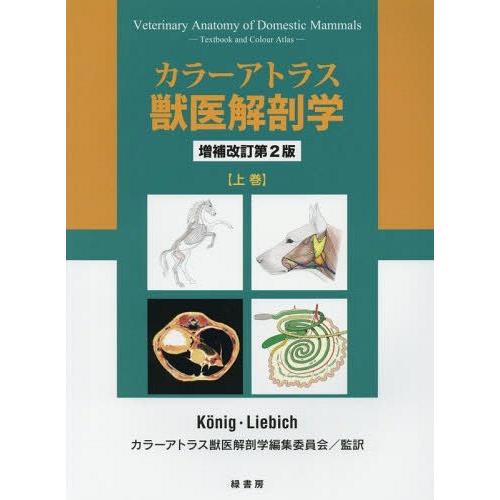 【貨物輸送無料】[本/定期刊行物]/色つやアトラス獣医師生体解剖学 上巻 / 原かた書き:Veterinary Anatomy of Domestic Mammals 原著第6版 本、雑誌、コミック-獣医学
