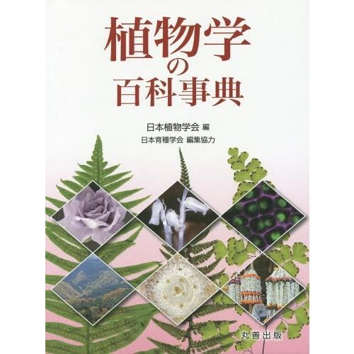 【送料無料】[本/雑誌]/植物学の百科事典/日本植物学会/編