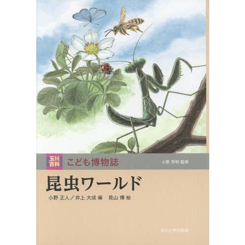 高知インター店 本 雑誌 ゆうメール利用不可 昆虫ワールド 玉川百科こども博物誌 小野正人 編 井上大成 編 見山博 絵 気質アップ Turningheadskennel Com