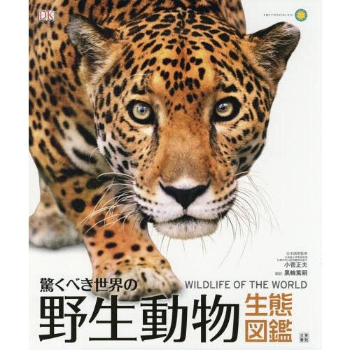 人気ブランドを 本 雑誌 驚くべき世界の野生動物生態図鑑 原タイトル Wildlife Of The World 小菅正夫 日本語版監修 黒輪篤嗣 訳 最終値下げ Atempletonphoto Com