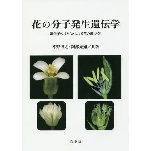 本 雑誌 花の分子発生遺伝学 遺伝子のはたらきによる花の形づくり 平野博之 共著 阿部光知 共著 植物生態学 2 000円以上送料無料はメール便が条件です 確認しました