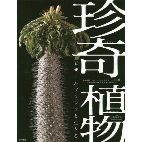 本 雑誌 珍奇植物 ビザールプランツと生きる 塊根植物 サボテン 食虫植物など400種 灼熱の砂漠から熱帯雨林の植物たち 藤原連太郎 監修 Sha Neobk ネオウィング Yahoo 店 通販 Yahoo ショッピング