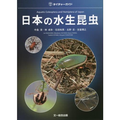 日本の水生昆虫（生物学の本）｜理学、工学 | 本、雑誌