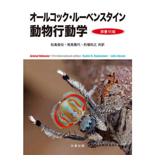 [本/雑誌]/オールコック・ルーベンスタイン動物行動学 / 原タイトル:Ainmal Behavior 原著11版の翻訳/DustinR.Rubens