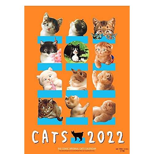 本 雑誌 ビッグコミックオリジナル 村松誠 猫カレンダー 22 村松誠 Mebellux Kz