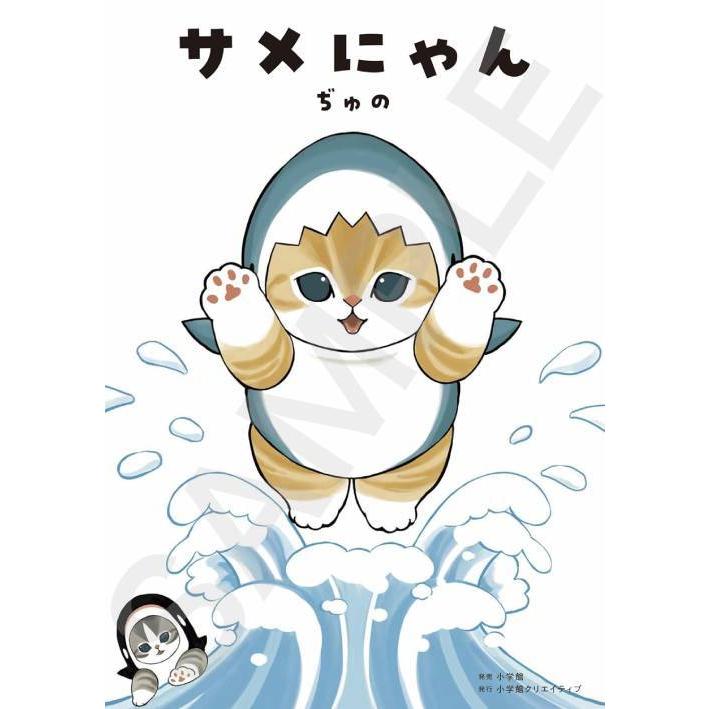本/雑誌]/サメにゃん 【通常版】/ぢゅの/著(単行本・ムック) : ネオ