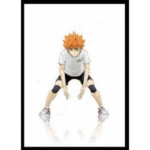 【貨物輸送無料】[ヴィデオディスク]/アニメ/御機嫌キュー!! TO THE TOP Vol.1 その他-アニメーション-DVD、映像ソフト
