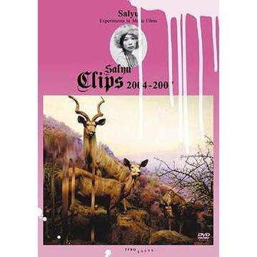 【送料無料】[DVD]/Salyu/Salyu Clips 2004-2007｜neowing