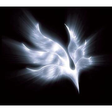 【送料無料】[CD]/BUMP OF CHICKEN/orbital period｜neowing