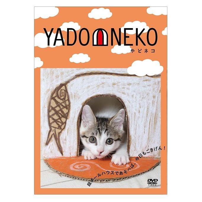 【送料無料】[DVD]/バラエティ/YADONEKO-やどネコ-｜neowing