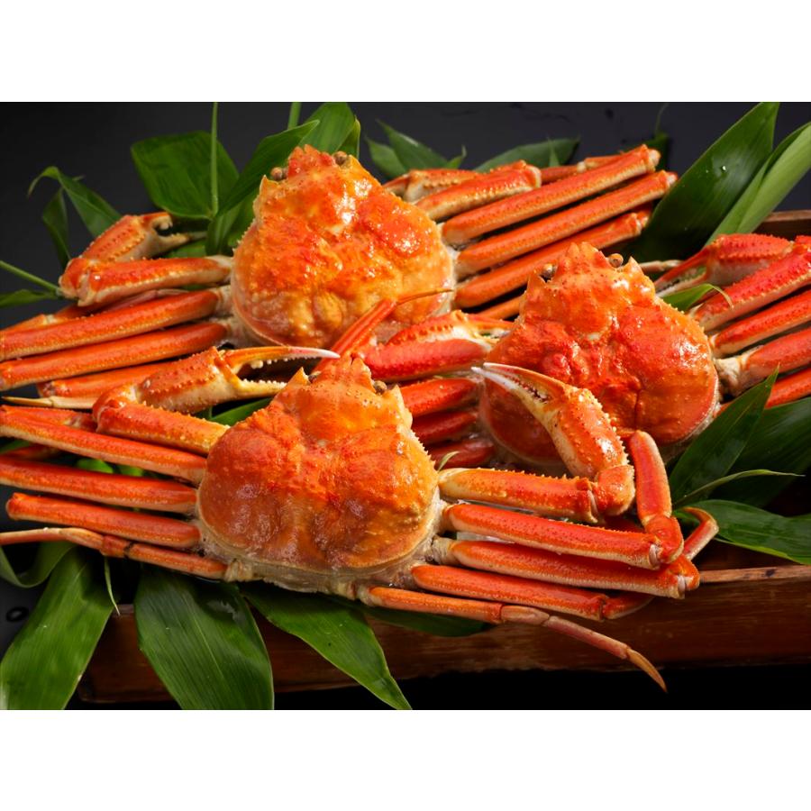 楽天ランキング1位 カニ かに 蟹 ボイルずわいがに姿450g3尾 ギフト セット 詰め合わせ 贈り物 贈答 産直 内祝い 御祝 お祝い お礼 返礼品 贈り物 御礼 食品 産地直送 グルメ ギフ Loi Ns2167t Nep ネップ 通販 Yahoo ショッピング Seal限定商品 Suannaidum In Th