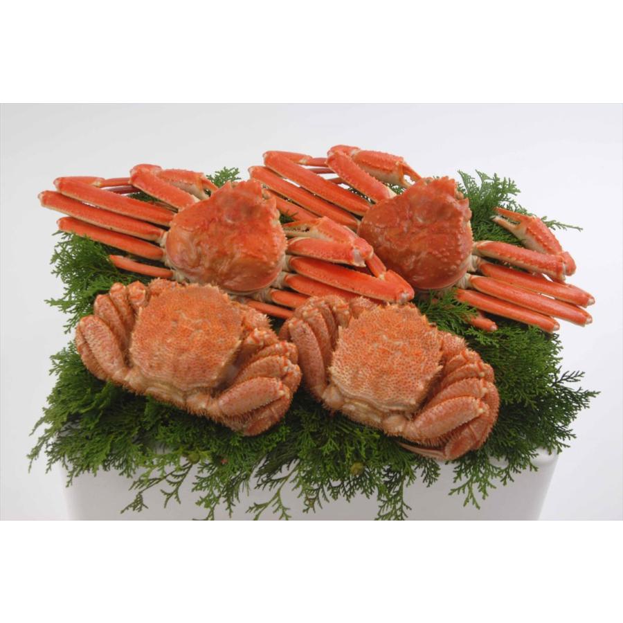 お1人様1点限り カニ かに 蟹 新 豪華毛がにずわい4尾セット ず500g 2尾 毛350g 2尾 ギフト セット 詰め合わせ 贈り物 贈答 産直 内祝い 御祝 お祝い お礼 返礼品 贈り物 魅了 Mediquicklab Com