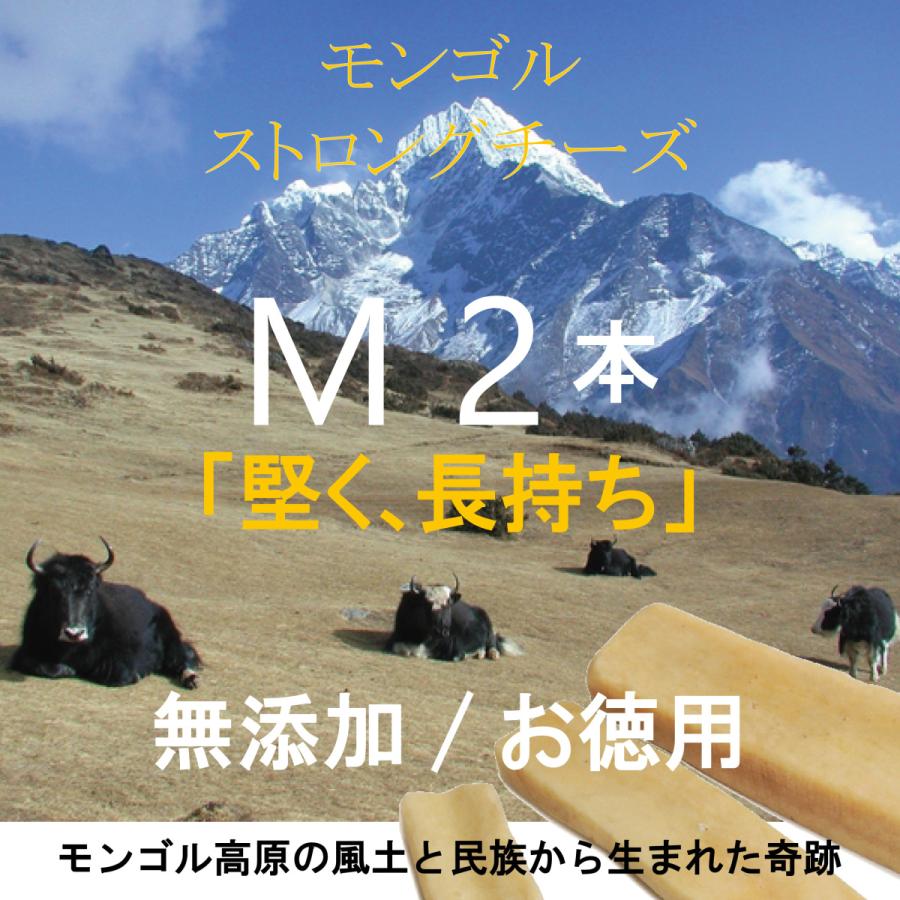 ペッツルート 無添加 モンゴルストロングチーズM お徳用2本入 小・中型