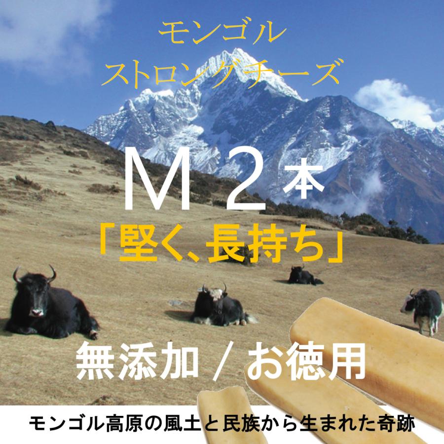 ペッツルート 無添加 モンゴルストロングチーズM お徳用2本入×2袋