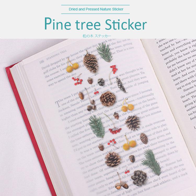 ( ナチュラル ステッカー ) 松の木 (Pine tree)  ステッカー 【 商用利用可 】 |  | 14