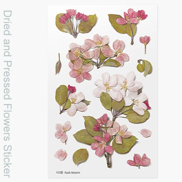 奉呈 ドライフラワー ステッカー りんご花 押し花スタイルステッカー 商用利用可 New売り切れる前に