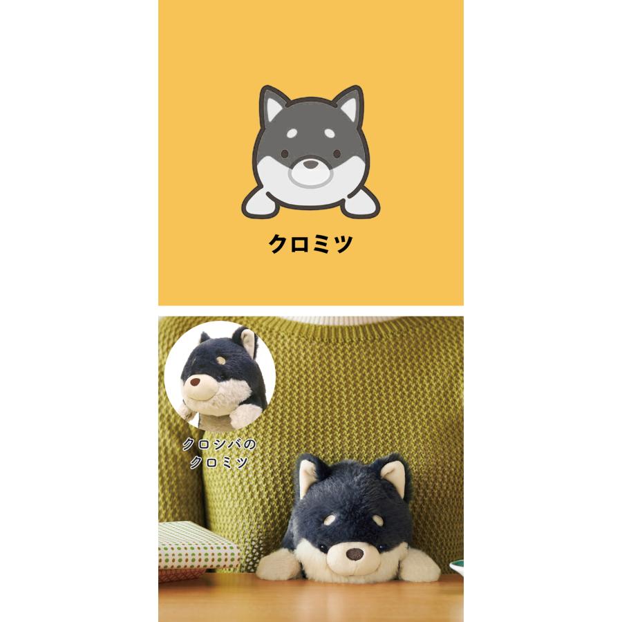 クッション ストレッチ 猫背防止 背中 ふんばるず パソコン作業