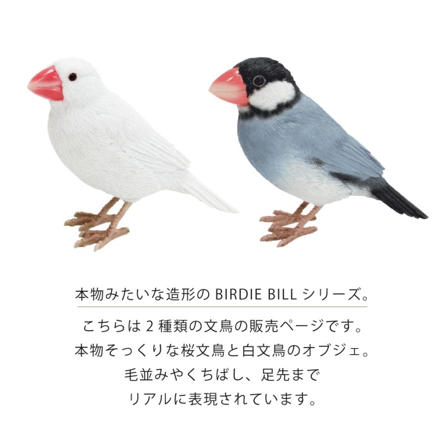 magnet 文鳥 オブジェ 置物 貯金箱 鳥 トリ 桜文鳥 白文鳥 インテリア