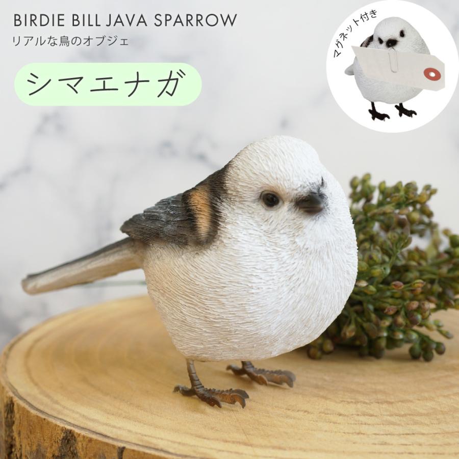magnet シマエナガ オブジェ 置物 貯金箱 鳥 トリ インテリア雑貨