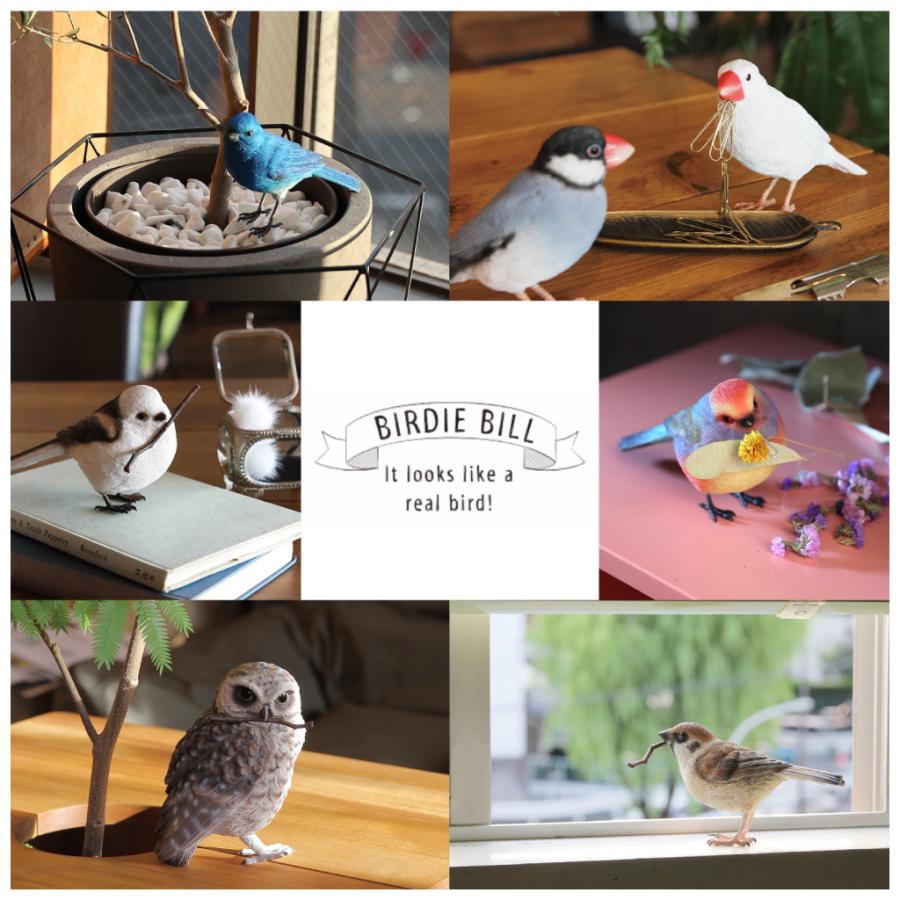 トリ　鳥　ハト　貯金箱　オブジェ　置物　インテリア　工芸品　美術品　A2678 magnet シマエナガ オブジェ 置物 貯金箱 鳥 トリ インテリア