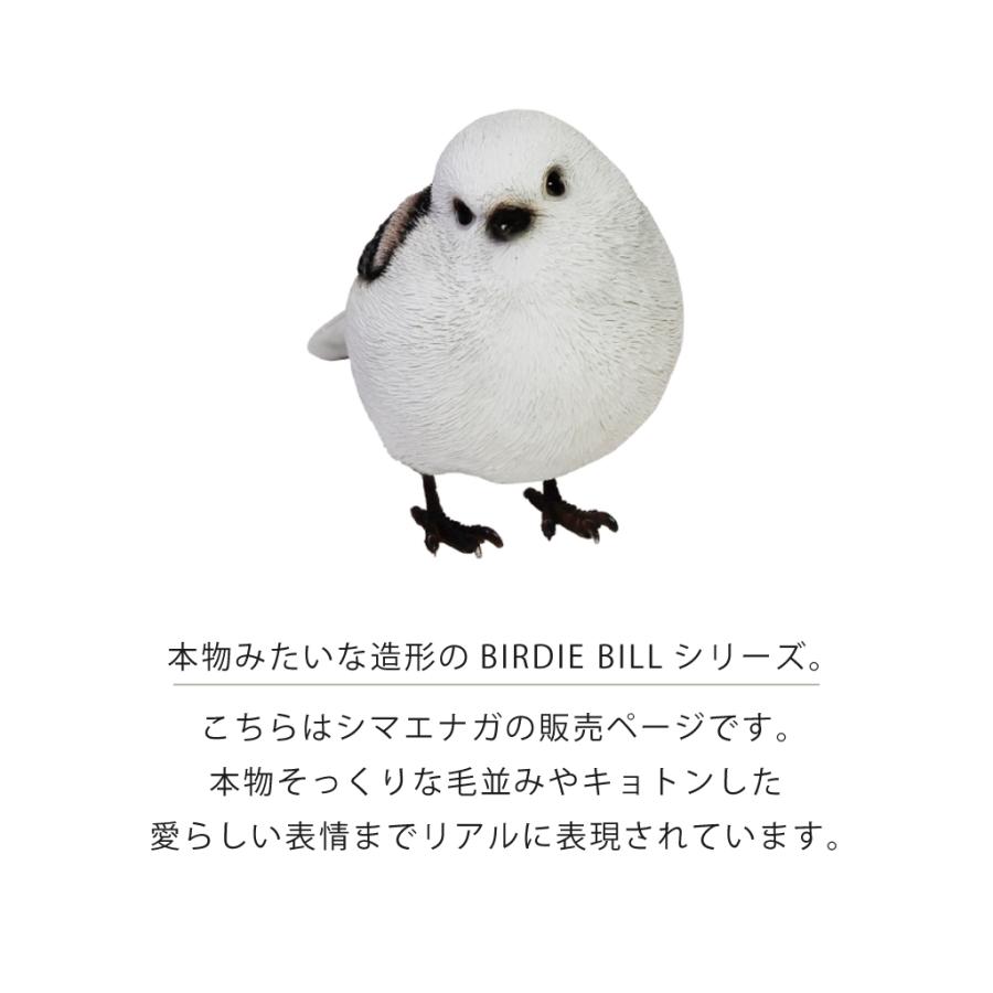 トリ　鳥　ハト　貯金箱　オブジェ　置物　インテリア　工芸品　美術品　A2678 magnet シマエナガ オブジェ 置物 貯金箱 鳥 トリ インテリア