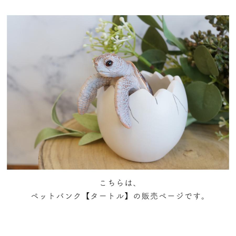 置物 縁起物 動物 ペット ガジェット BESS 亀 置物 縁起物 動物 ペット ガジェット BESS 亀
