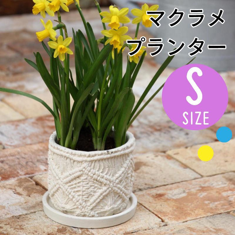 プランター 植木鉢 おしゃれ 室内 Sサイズ 立ち切り マクラメ 北欧 鉢植え 穴あり 皿付き 可愛い ガーデニング 寄せ植え サボテン 多肉植物 かわいい Ccgf1040 アウトドアと雑貨のグラスホッパー 通販 Yahoo ショッピング
