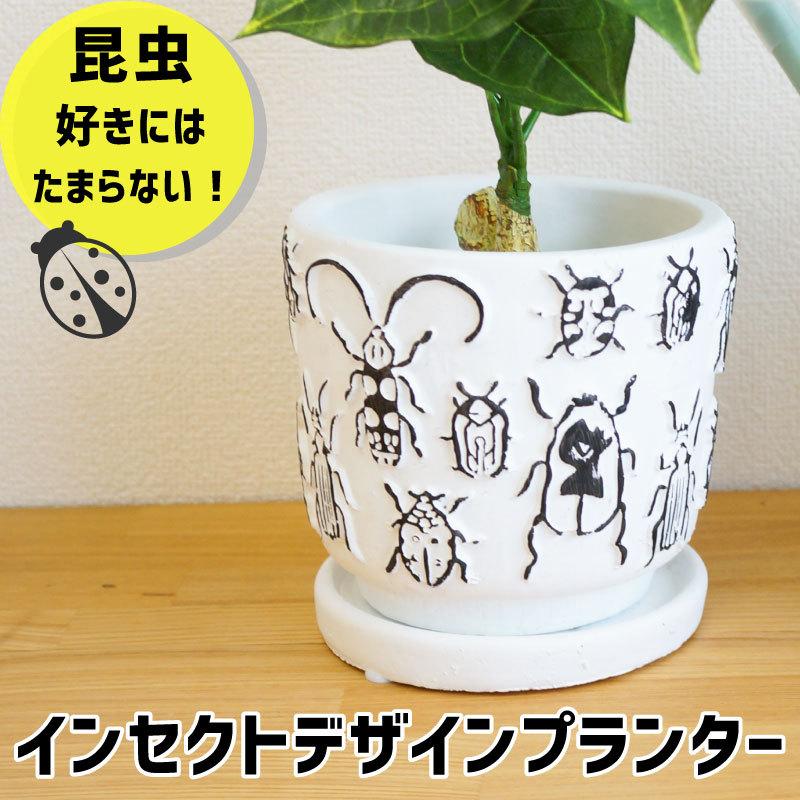 プランター 植木鉢 おしゃれ 室内 昆虫 インセクト 鉢植え 穴あり 皿付き 可愛い ガーデニング 寄せ植え サボテン 多肉植物 かわいい インテリア 12 5cm Ccgh1853 アウトドアと雑貨のグラスホッパー 通販 Yahoo ショッピング