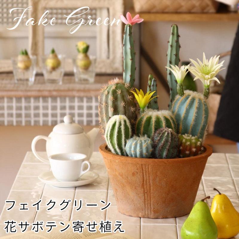 フェイクグリーン サボテン 寄せ植え 鉢植え 花サボテン 観葉植物 人口 フェイク 店舗装飾 簡単 造花 かわいい 植物 ナチュラル インテリア Dagk13 アウトドアと雑貨のグラスホッパー 通販 Yahoo ショッピング